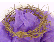 919100: Crown of Thorns (9 to 11 inches diameter)